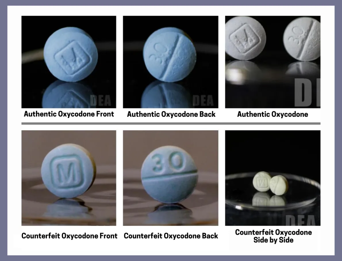 Examples of the counterfeit Percocet pills