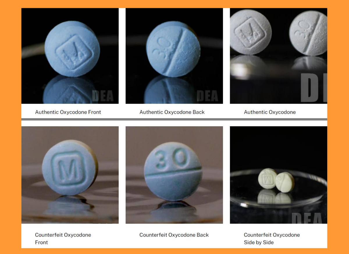 Examples of the counterfeit Percocet pills