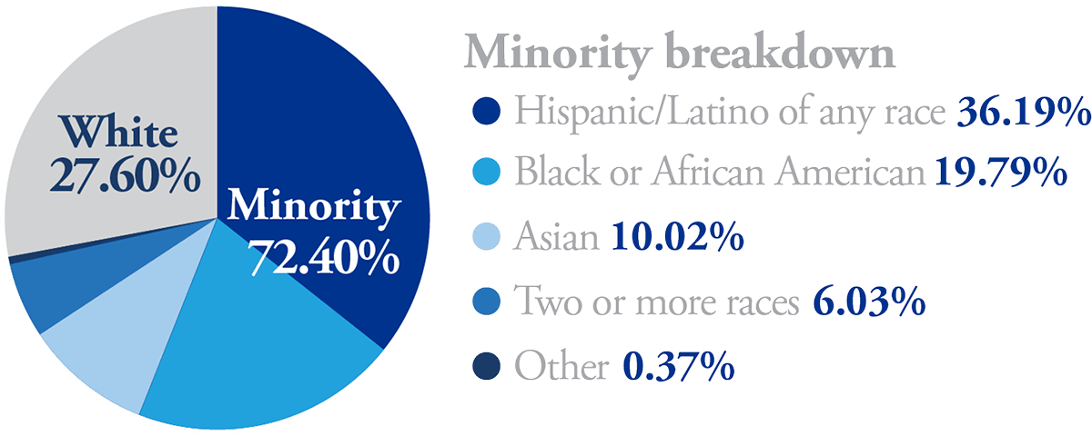 Pie chart with the racial and ethnic breakdown for Prince William County Schools: 27.6% white, 36.19% Hispanic/Latino of any race, 19.79% Black or African American, 10.02% Asian, 6.03% Two or more races, 0.37% other