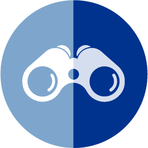 Vision icon -- icon is a pair of binoculars in a circle