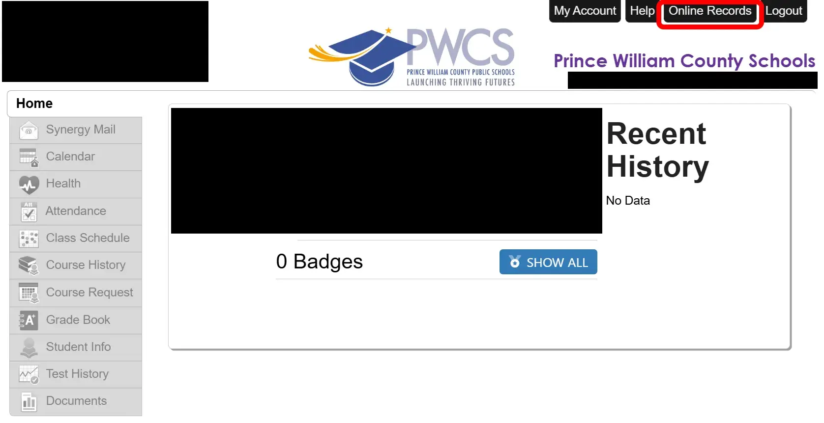 Screenshot of the ParentVUE website with the Online Records link highlighted