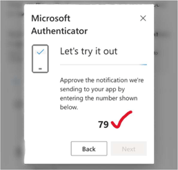 Screenshot of the verification code screen