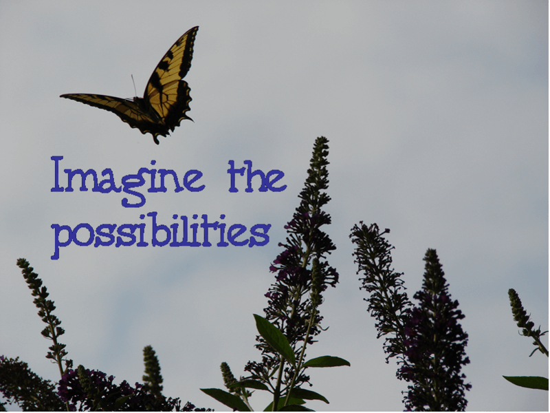 A butterfly with the words: imagine the possibilities.