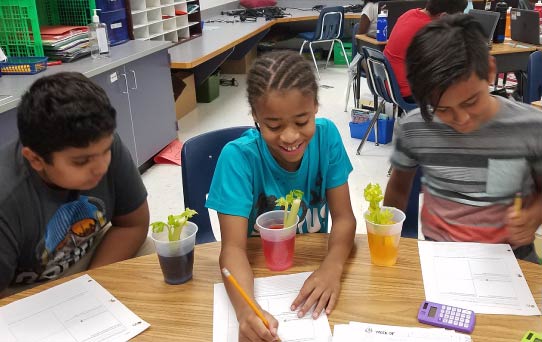 three students sitting at a table with colored fluid and celery stalks in cups on the table in front of them