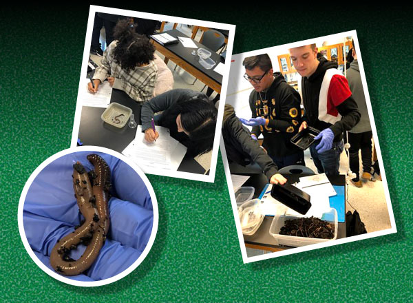 Collage of students in the science classroom with the earthworms
