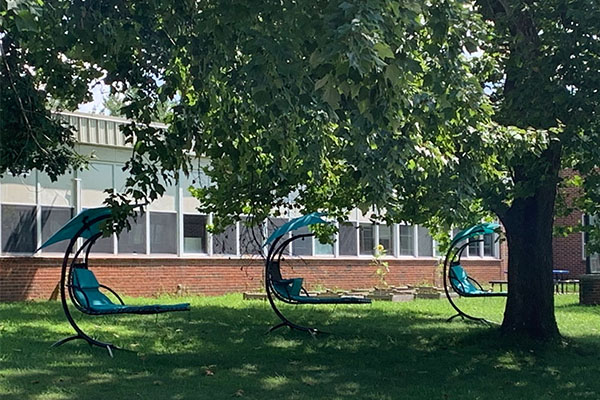 picture of a hammock swing hanging outside under a shade tree