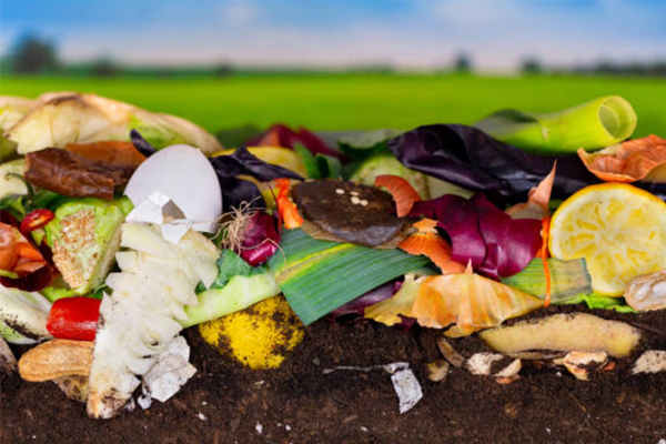 Image of compost and organic materials