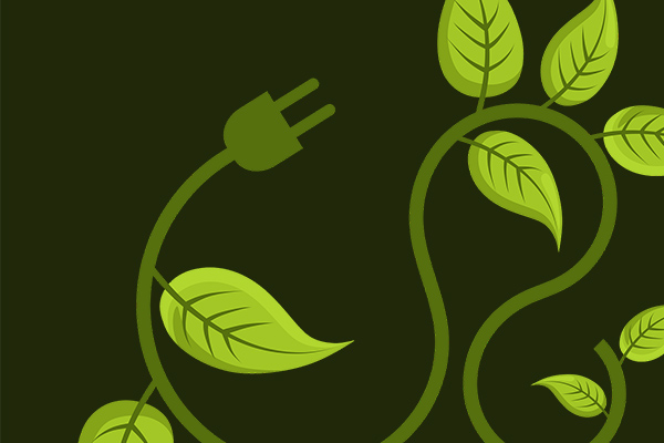 Green leaves and electric plug