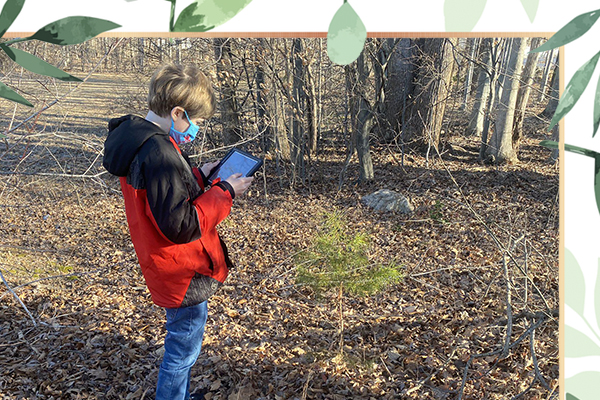 Student observes plant found on scavenger hunt