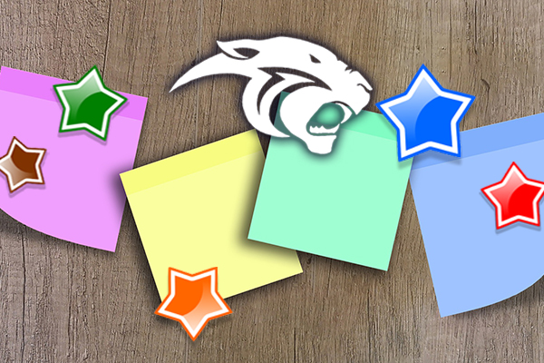 colorful image of post it notes on a grainy wood backdrop with stars and the parkside cat mascot overlay