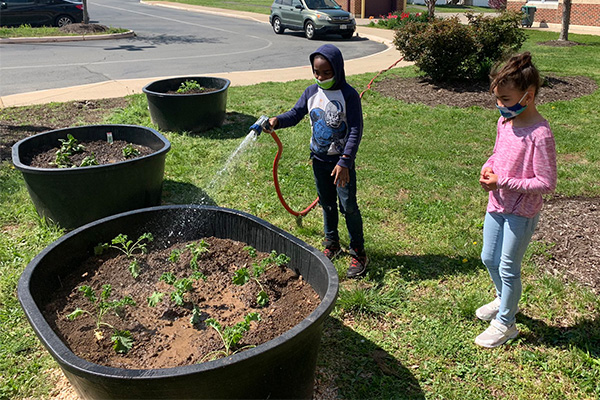 Students watering plants
