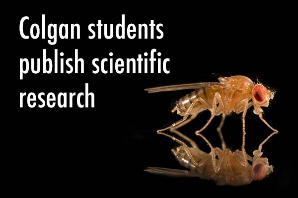 Colgan Students Publish Scientific Research