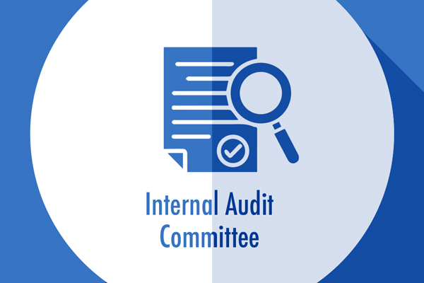 Internal Audit Committee logo