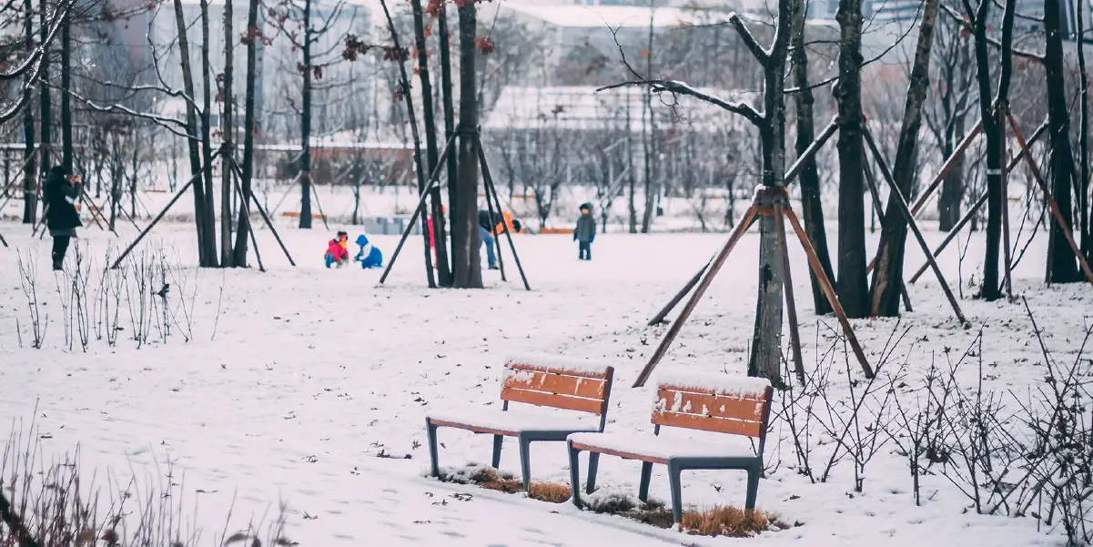 Children playing in snow