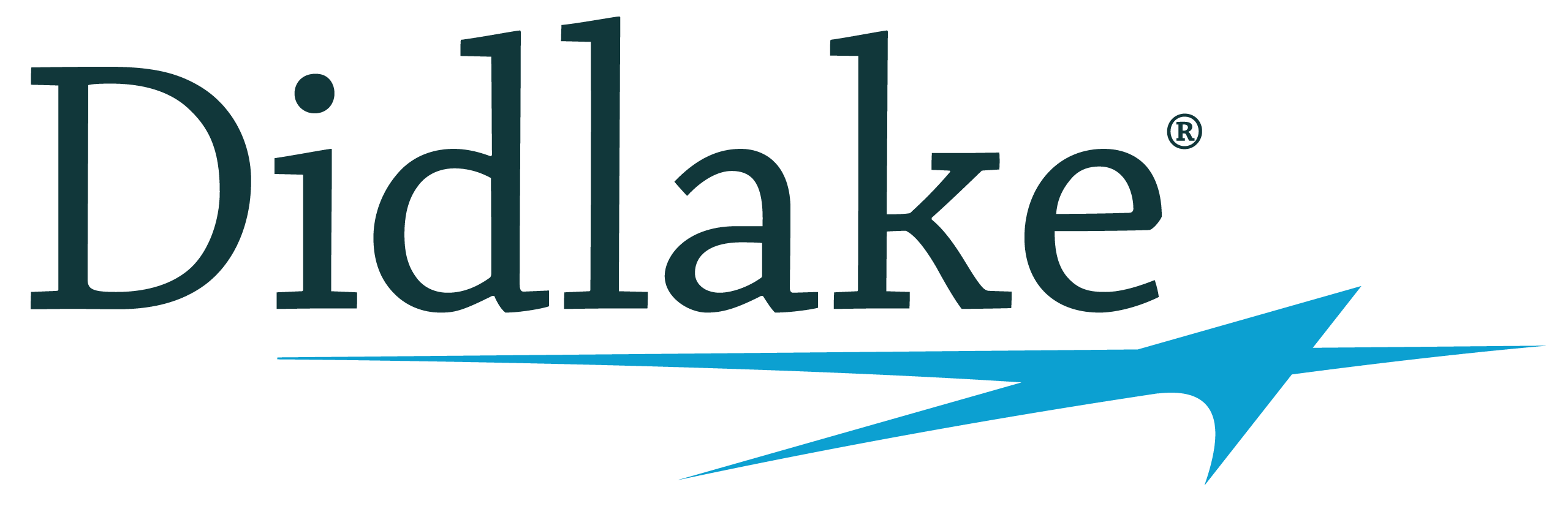 Didlake Logo