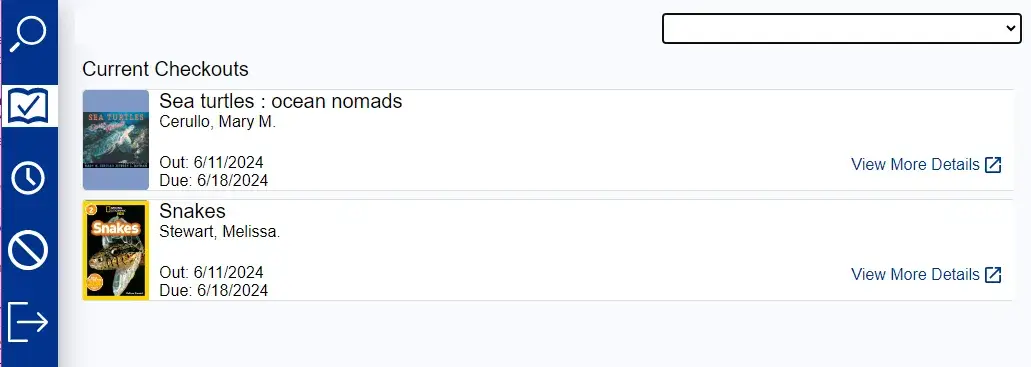Screenshot of the Current Checkouts screen