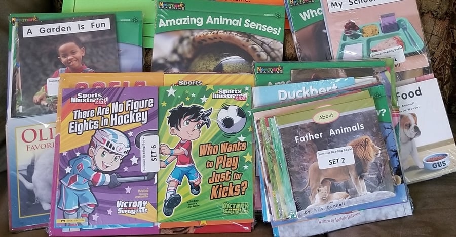 Summer Thrive Reading Book Sets