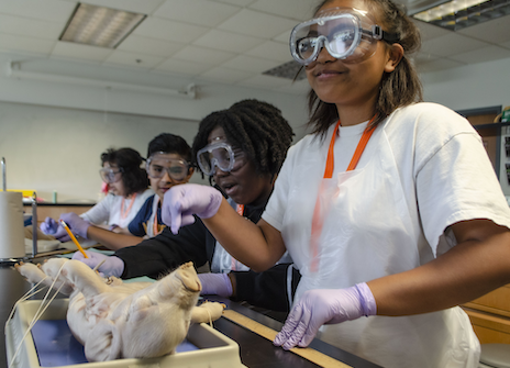 Students in a science lab