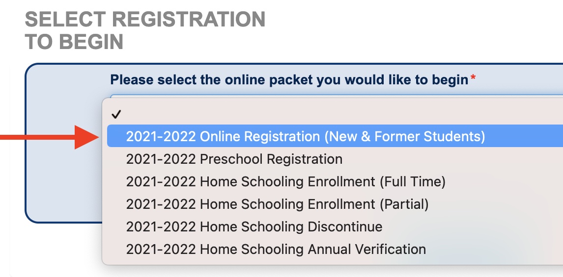 snapshot of online packet selection options