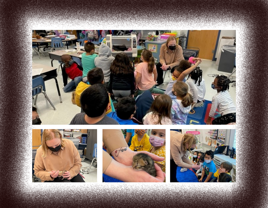 Photo of social worker at Marumsco Hills Elementary School showing students a neonatal kitten and discussing good citizenship, taking care of others, and science development. 