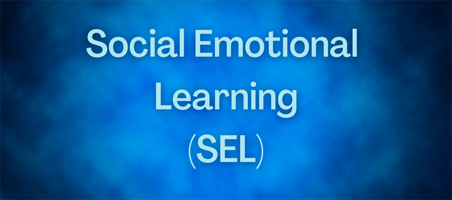 Social emotional learning webpage banner
